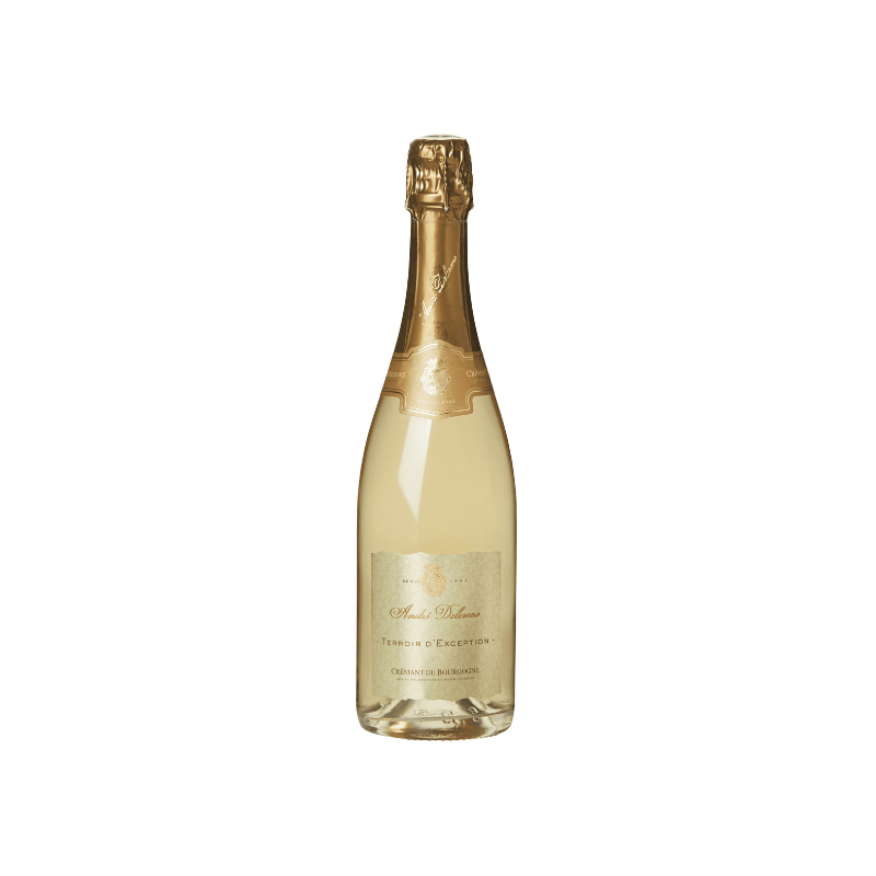 CRÉMANT DE BOURGOGNE BLANC BRUT TERROIR D'EXCEPTION