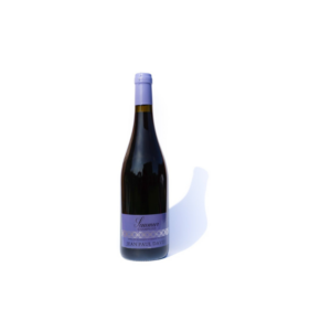 AOC SAUMUR CHAMPIGNY